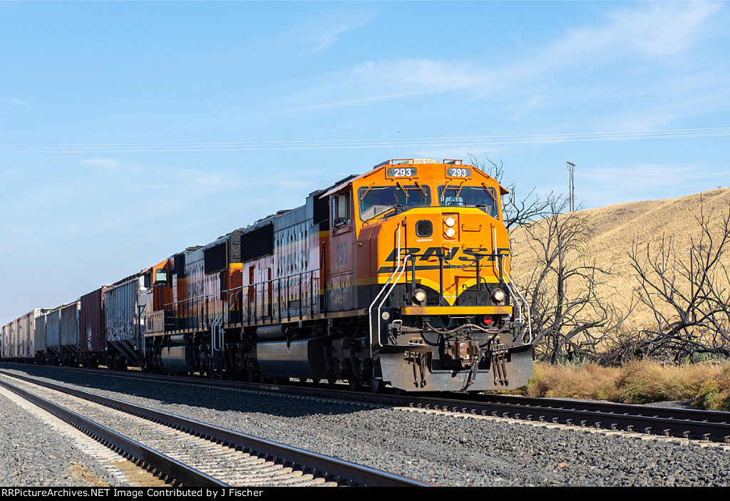 BNSF 293